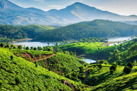 Serenity of Kerala: Backwaters and Spice Gardens
