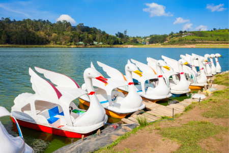 Enchanting Srilanka