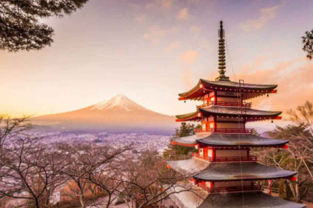Explore Japan, Your Way!