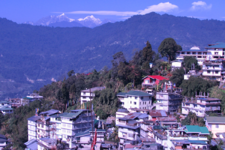 Kasauli Escape