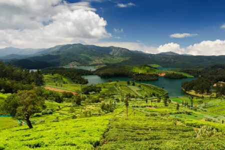 Enchanting Ooty