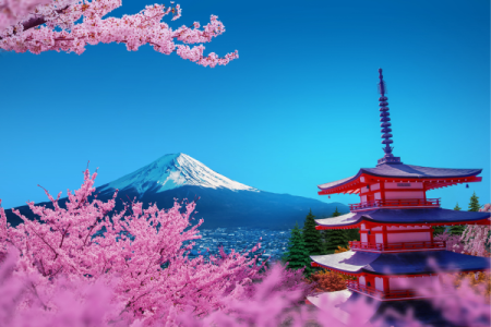 Japan: Sakura Serenity